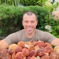 Анатолий Островский